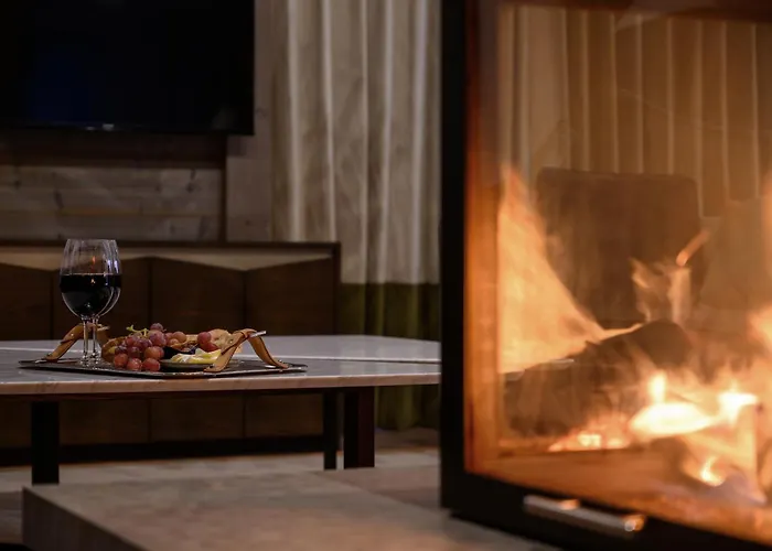 高雪维尔六善酒店公寓